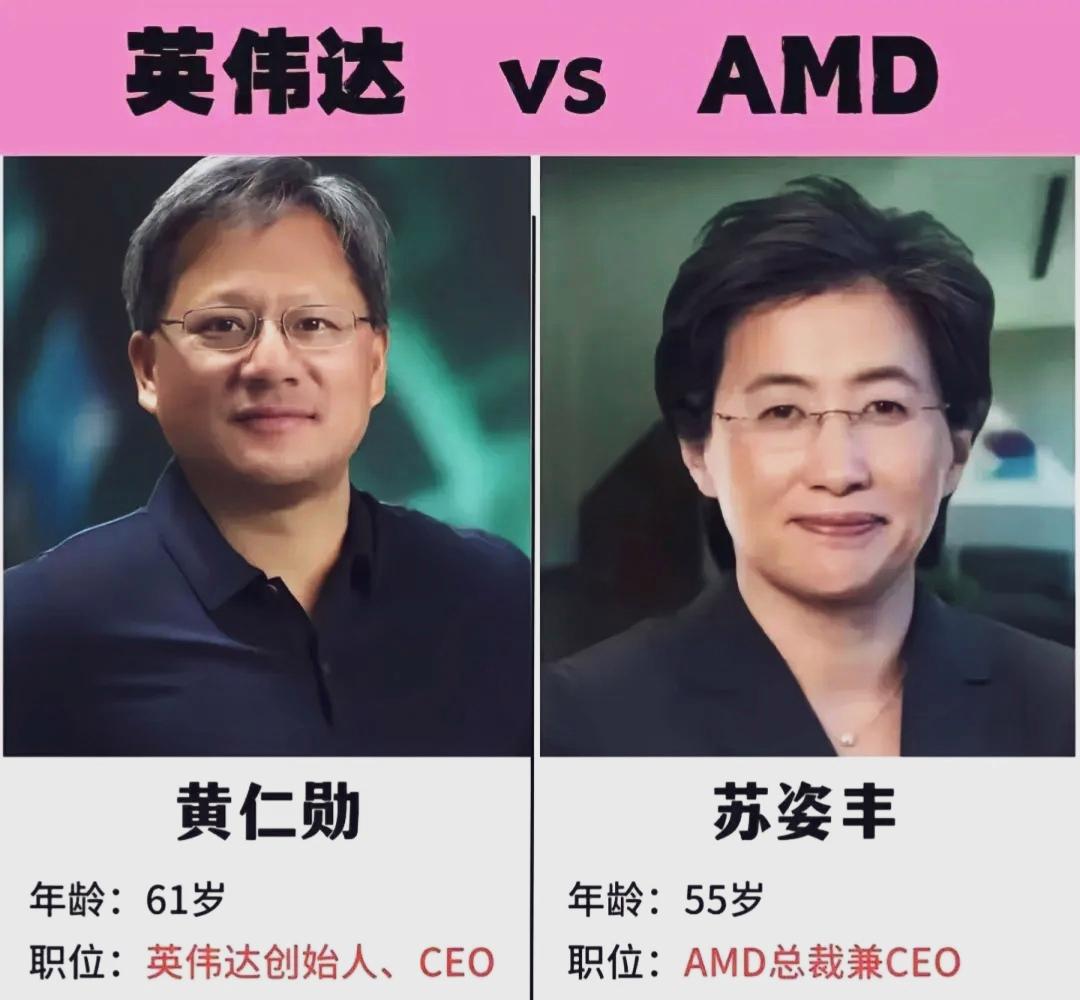 从 “洪承畴综合症” 看当下华裔反华现象