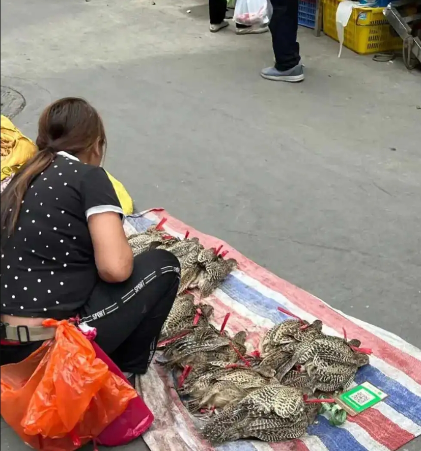 这东西卖了不是犯法吗？

