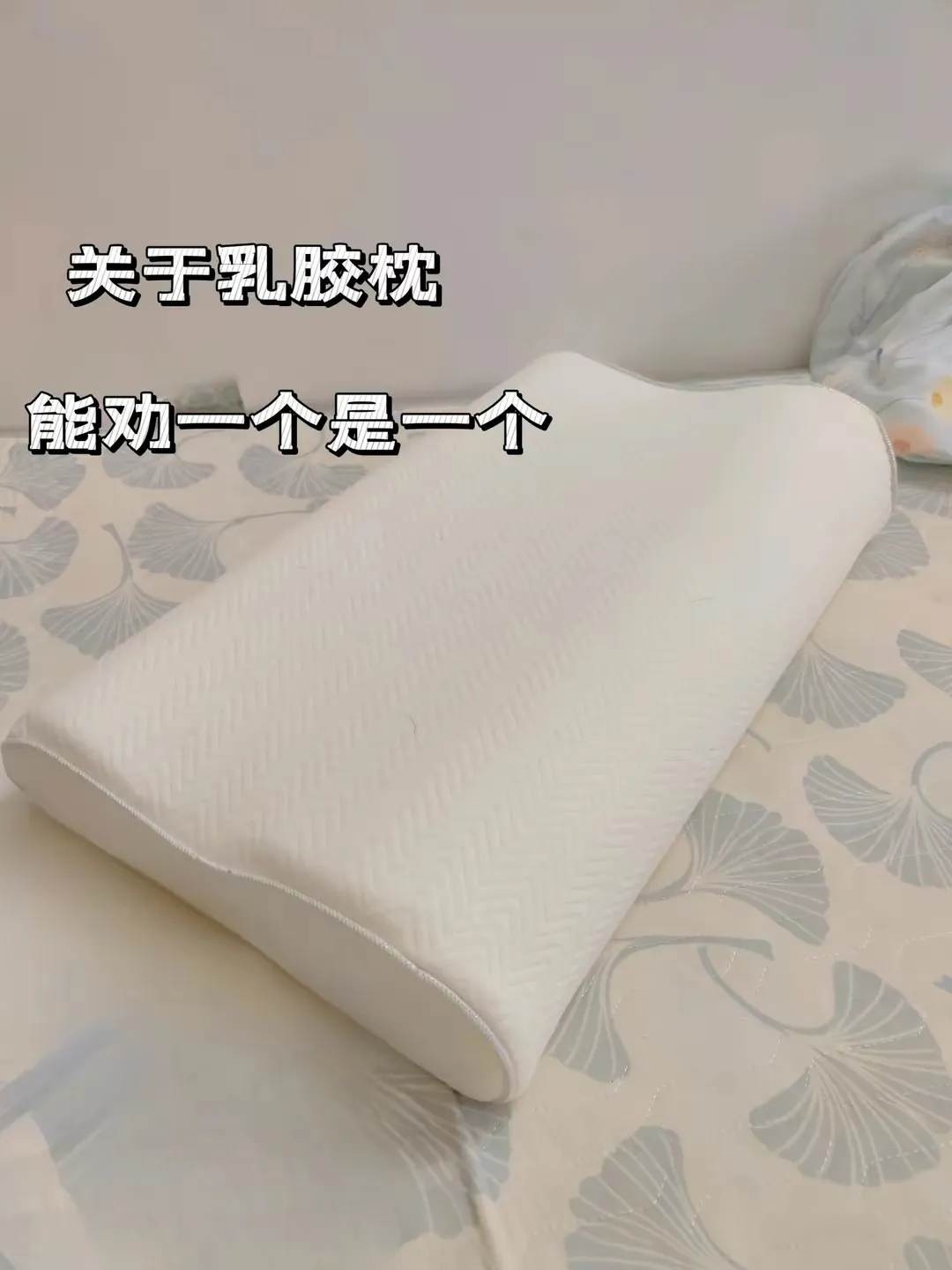 乳胶枕风大的乳胶枕头一直被商家声称是“健康的象征”。比如天然乳胶可以抑菌防螨，乳
