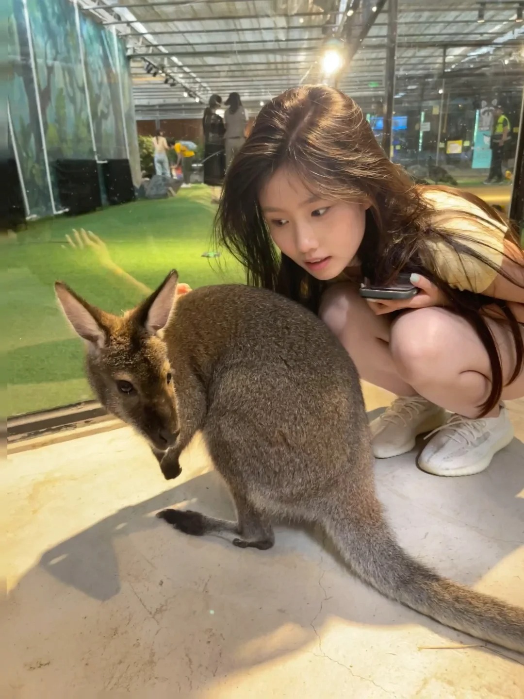 动物园里有什么
🦥🦙🦘🐏🐢 苹果的表情符号凑不齐了哈哈