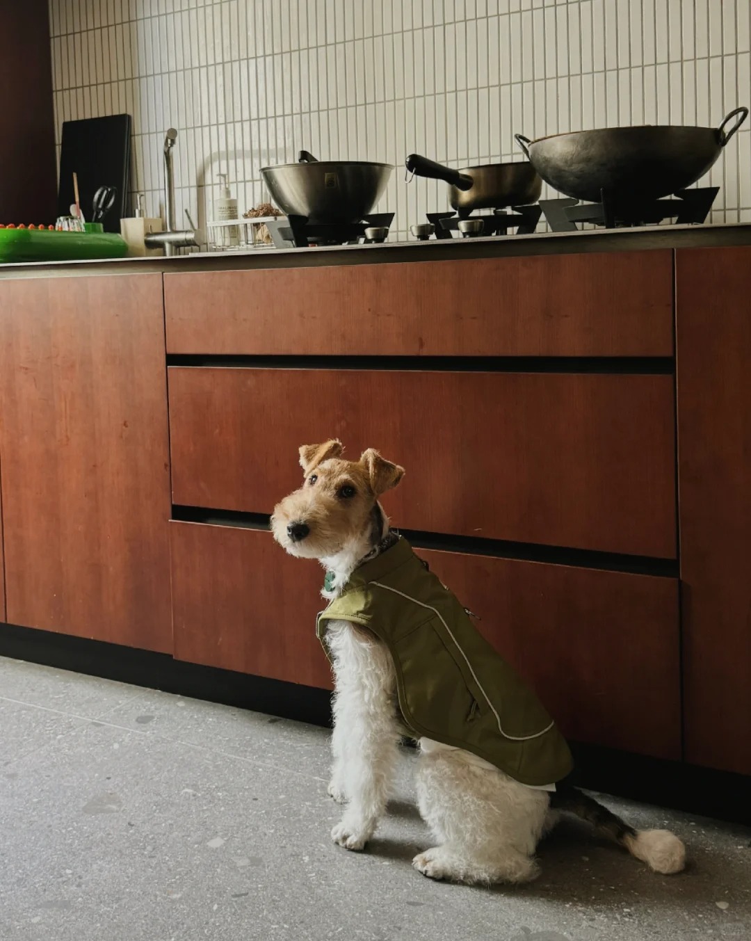 我妈做饭 我就坐着 萌她一个忍不住