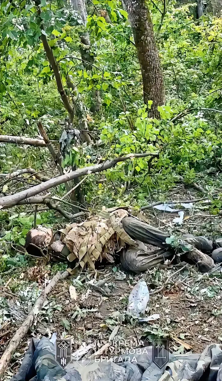 这是一名被乌克兰联军击毙的俄罗斯年轻士兵