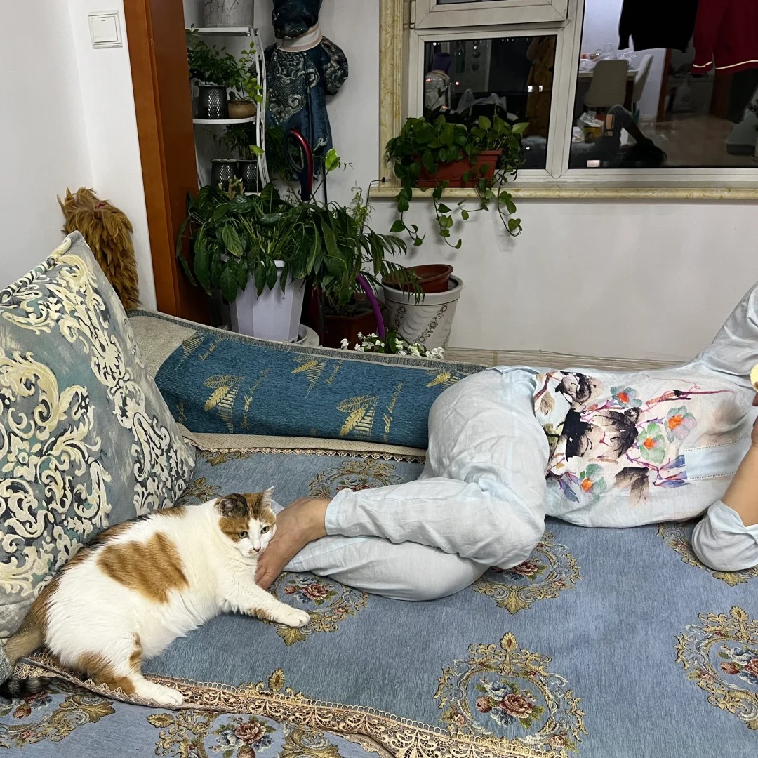 假期出去玩几天爸妈帮养猫的后果
猫：不是哒姐你哪位，这才是我妈#我家宠物好可爱 