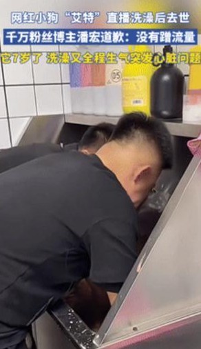 狗被封嘴后死亡 引发争议

                          