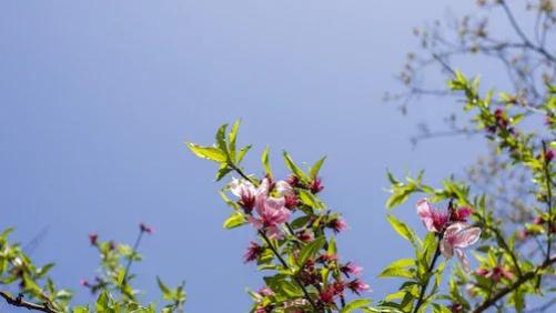 要想老天爷保护你，第一时间，要有以下3种“悟性”