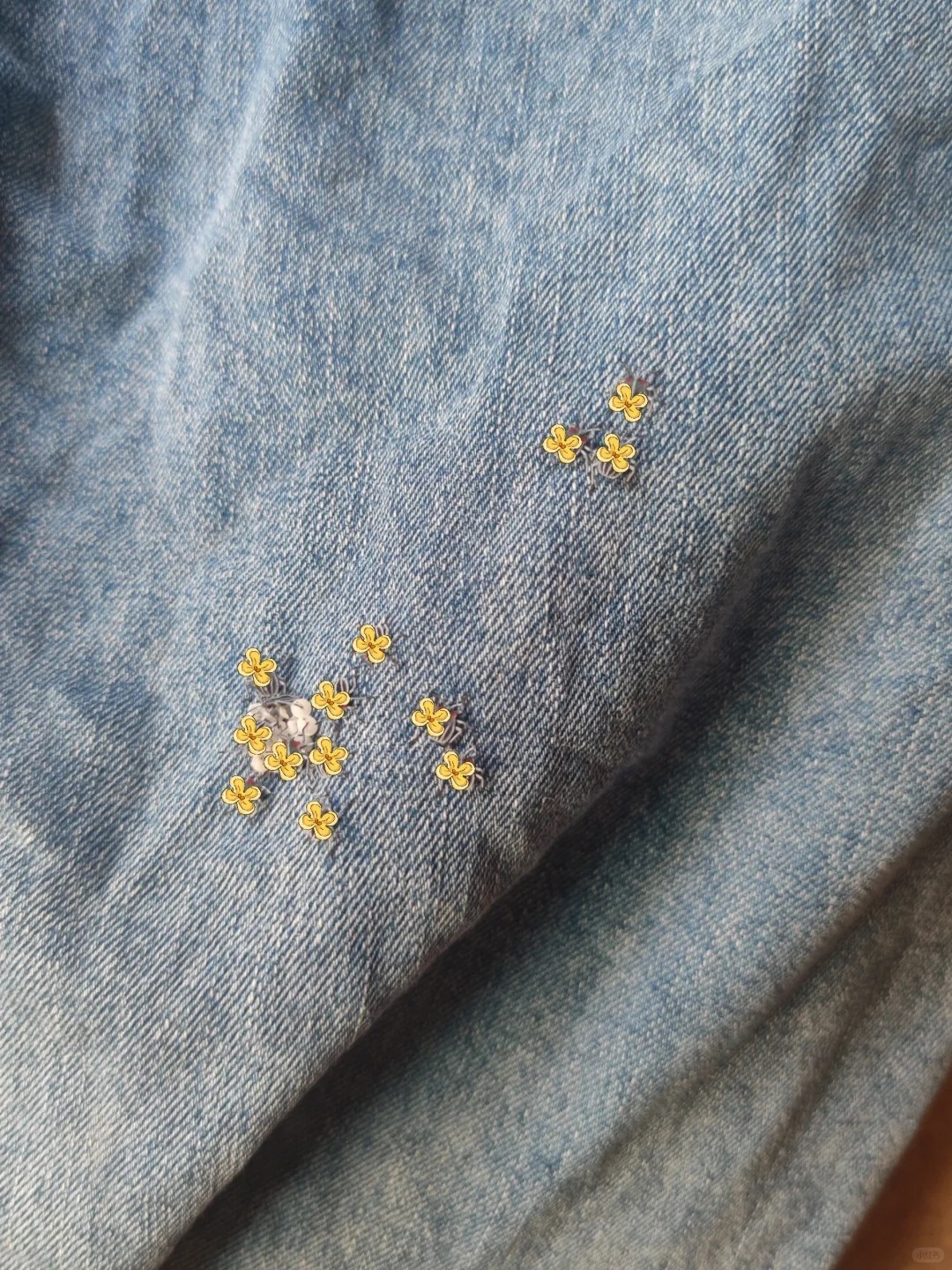 好窒息！！广东的家人们收衣服时记得检查
啊啊啊啊啊啊啊啊啊虫卵孵化了！！