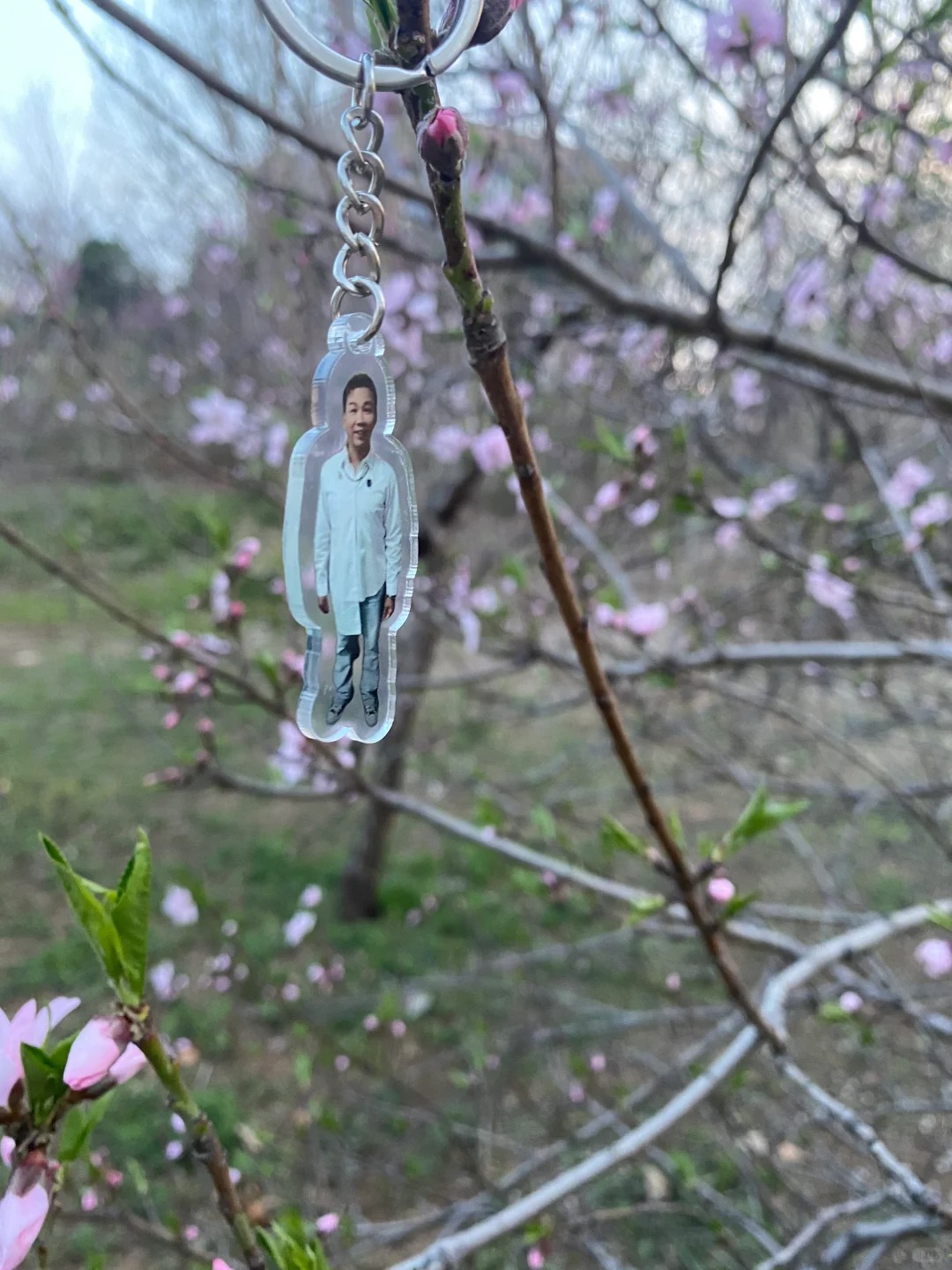 愿逆风如解意 容易莫摧残