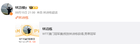 林诗栋男单冠军