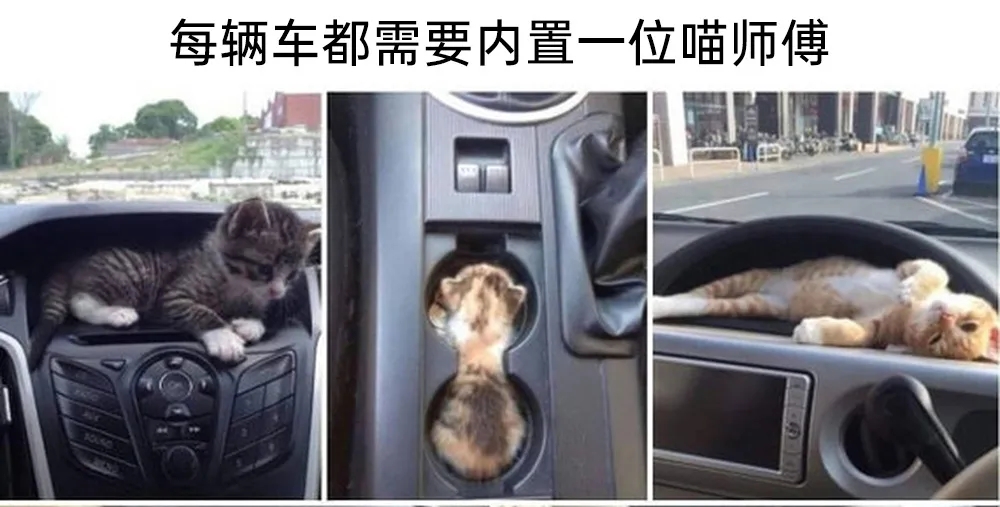 每辆车都需要内置一位喵师傅