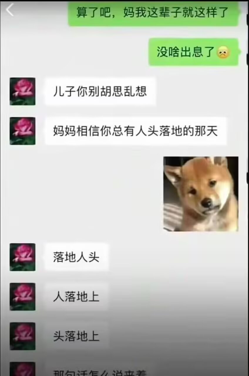 那句话怎么说来着