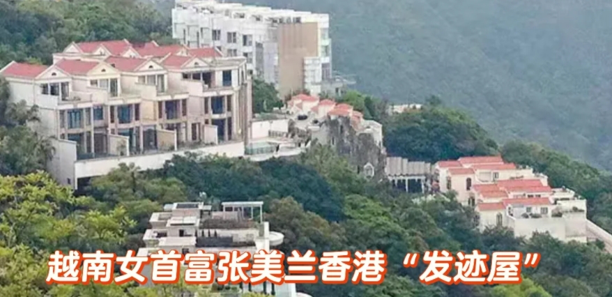 奇女张美兰 荣华总是三更梦，富贵还同九月霜

越南女首富不是“纯越南人”，而是华