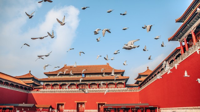 我今年的目标是攒够10万，给妹妹5万买车，给弟弟5万装修房子