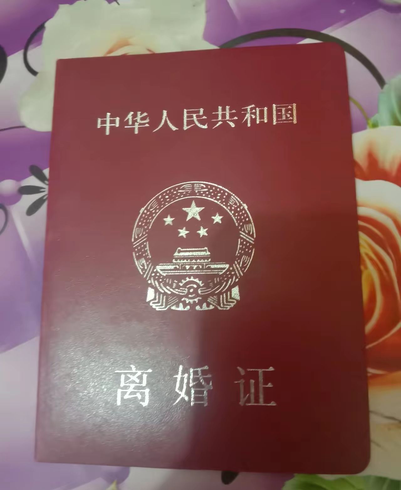 昨天我要拉着我老婆去离婚，她太过分了，初三下午回老家，我妈那里她也不去拜拜年，回