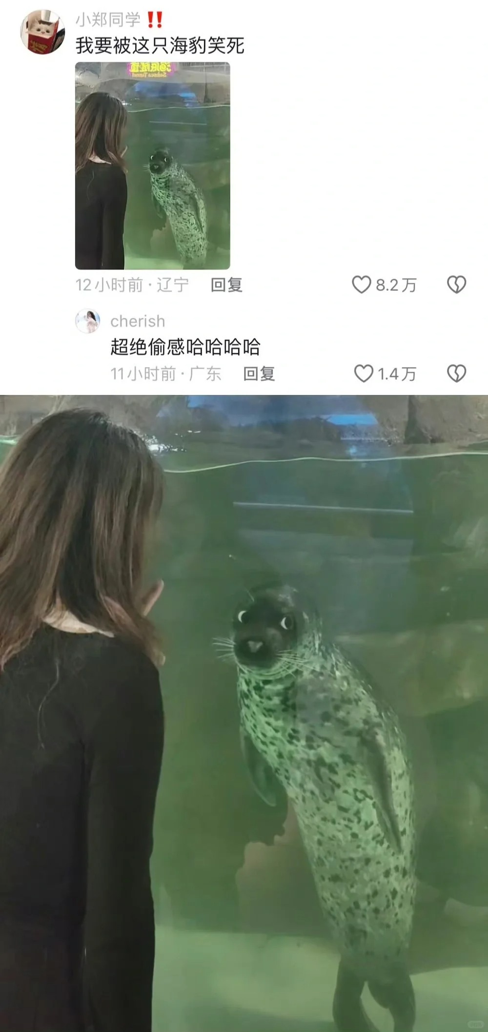 有些海底动物的偷感真的很重哈哈哈哈哈哈
哈哈哈哈哈哈偷感很严重！地包天那个真的要