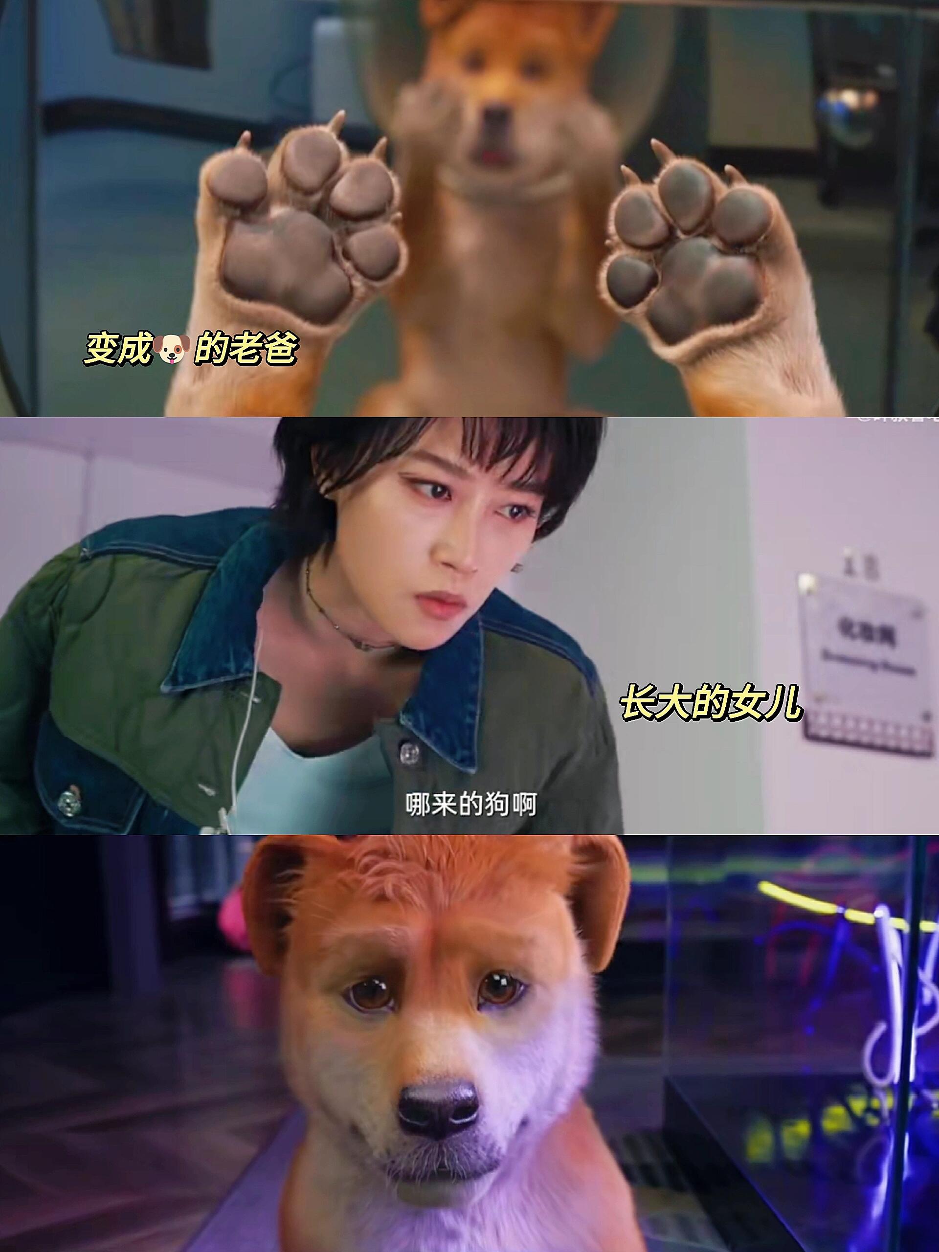 当浣碧遇上步惊云笑料百出！！