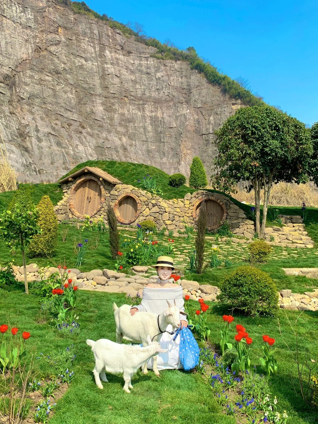 杭州新开的🐑🍃！！美疯了……没人！！
山崖边的童话农场！
开了好多郁金香🌷