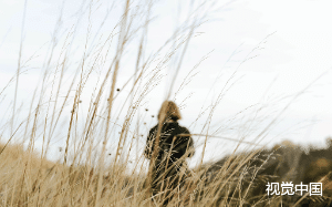 石头倒塌，岑望之选择先救我，而他却被压断一条腿。而这样的人却在我怀孕时抱着别的女人热情拥吻。