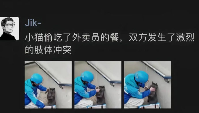 小猫偷吃外卖被发现后