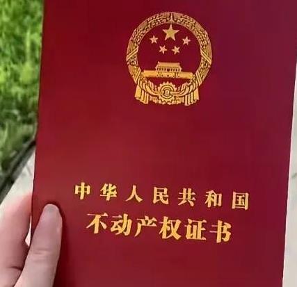 太惊人了！湖南，女子月入四千却买两套房，总价超1600万付300多万首付还贷款近