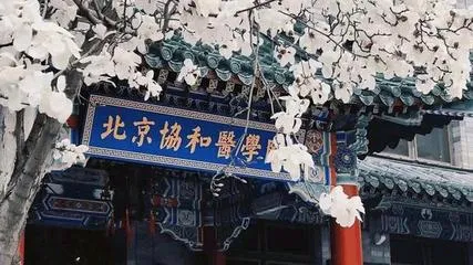 全国最难考的十所医学院：
1、北京协和医学院(北京市)
2、北京大学医学部(北京