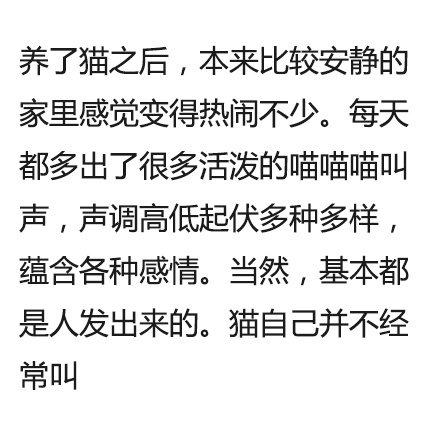 蕴含各种感情的猫叫声