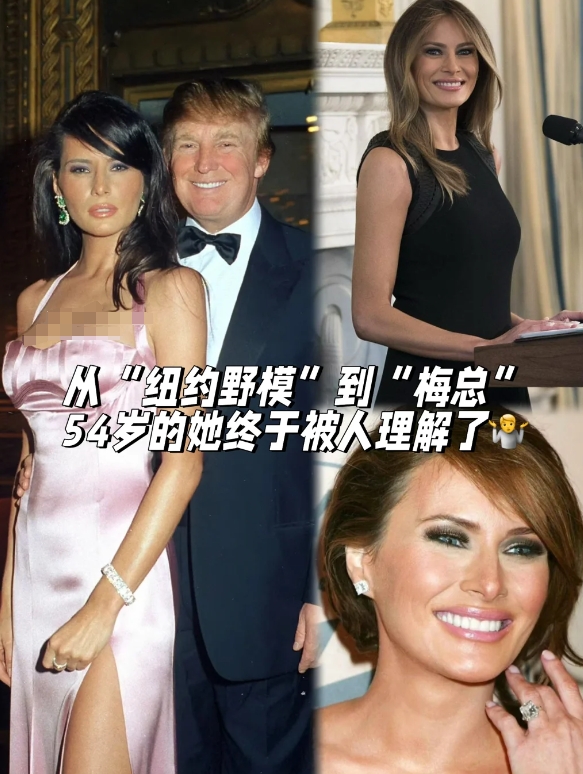 梅拉尼娅的“被理解之路”到底如何发生的？

多年前campaign时被diss“