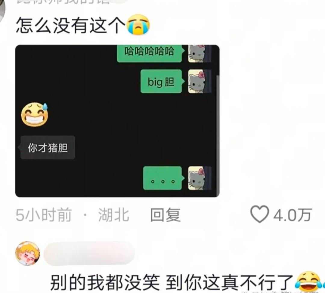 笑死了，莫名其妙击中笑点！哈哈哈哈！