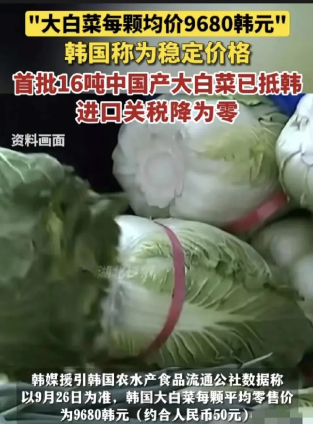 韩国白菜危机：关税降零，民众意见分歧引热议！


最近，中国出口到韩国的16吨白