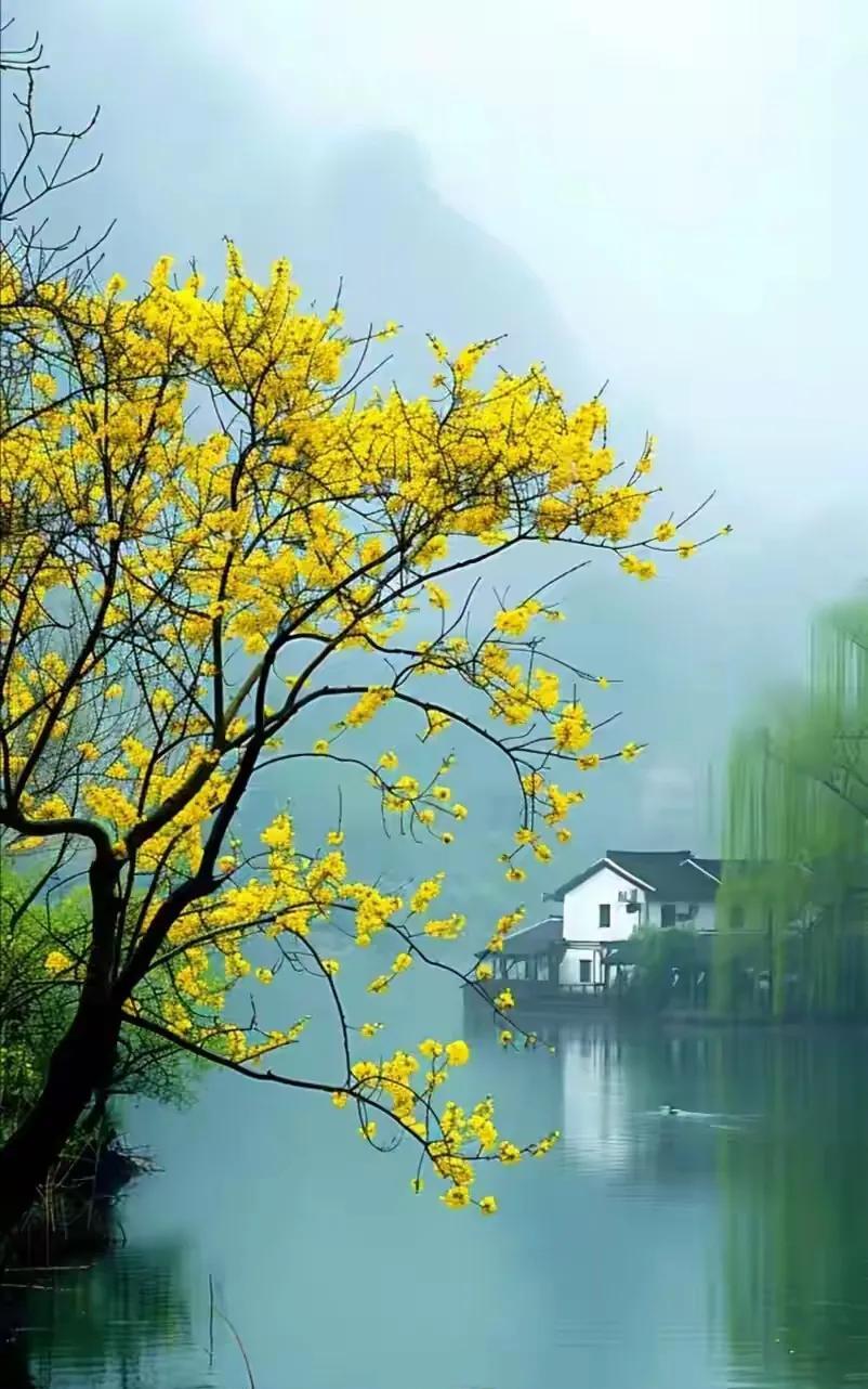 清醒的一句话：“当你经济独立，见过世面，你才不会纠结一个人爱不爱你，你应该去爱这