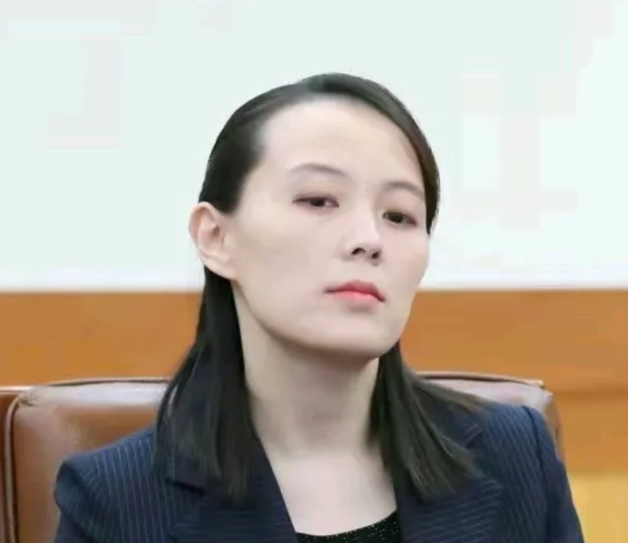 朝鲜发出强烈谴责！
针对美国和韩国在半岛进行的联合军事演习，朝鲜发出了强烈的谴责