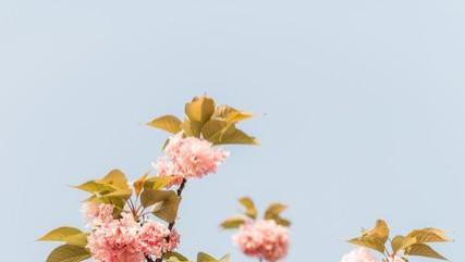 善恶终有报：行善积德，福报自现