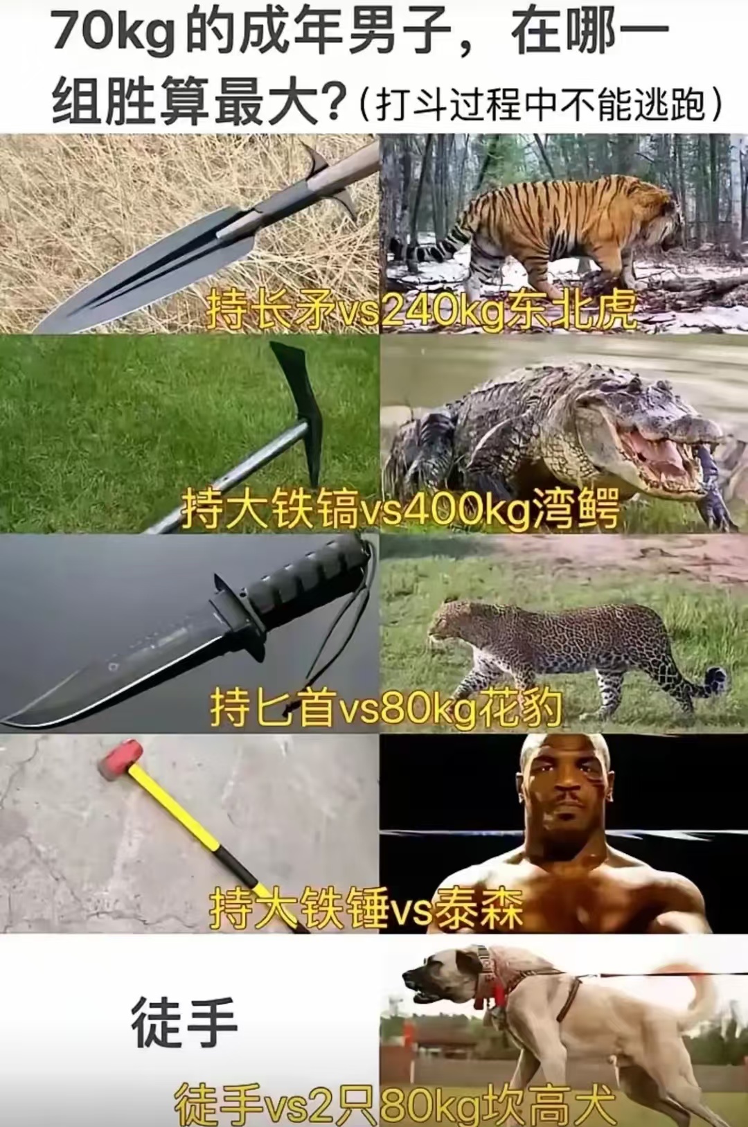 请问哪组的胜算最大呢？