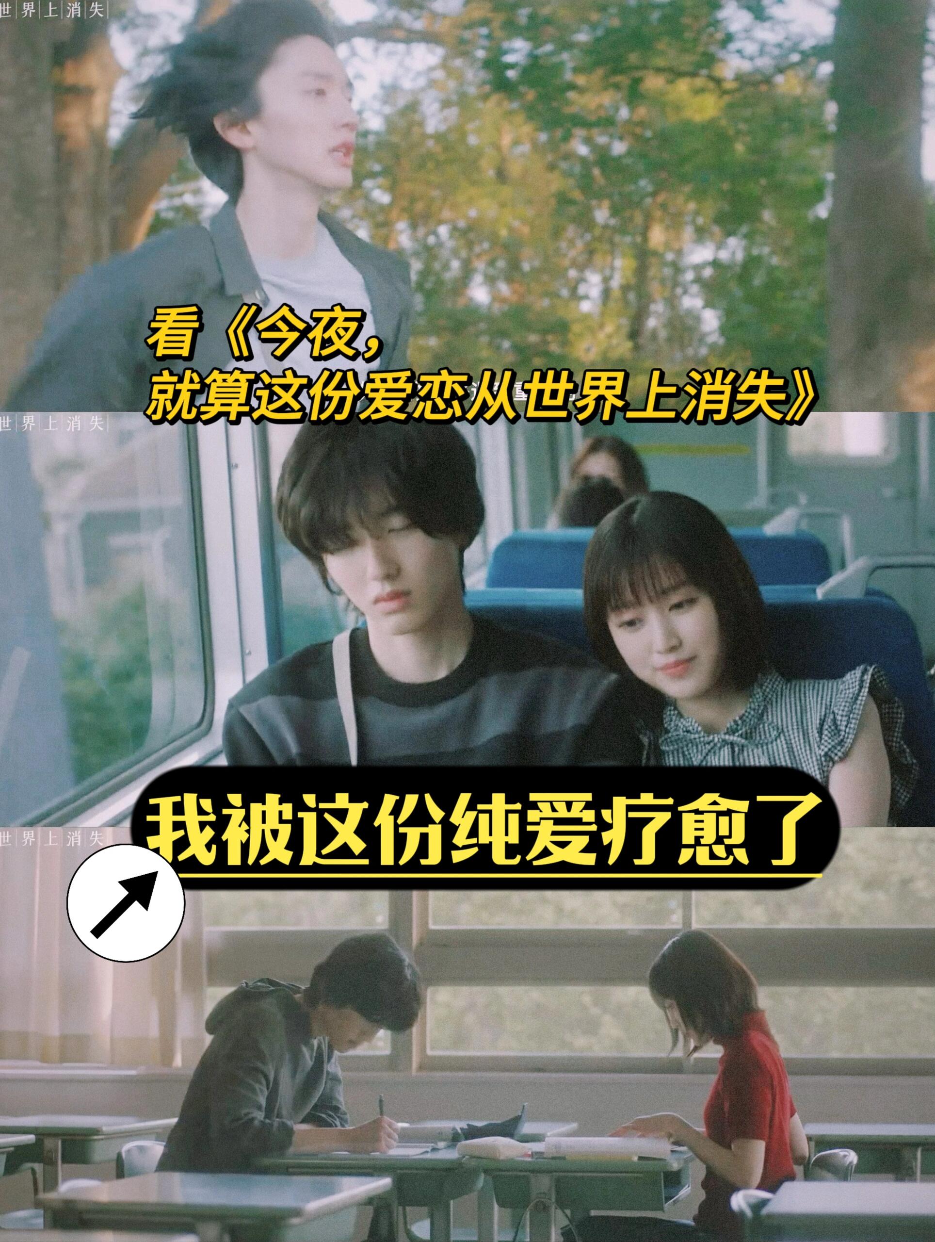被纯爱疗愈的8个瞬间，每个都让人久久回味