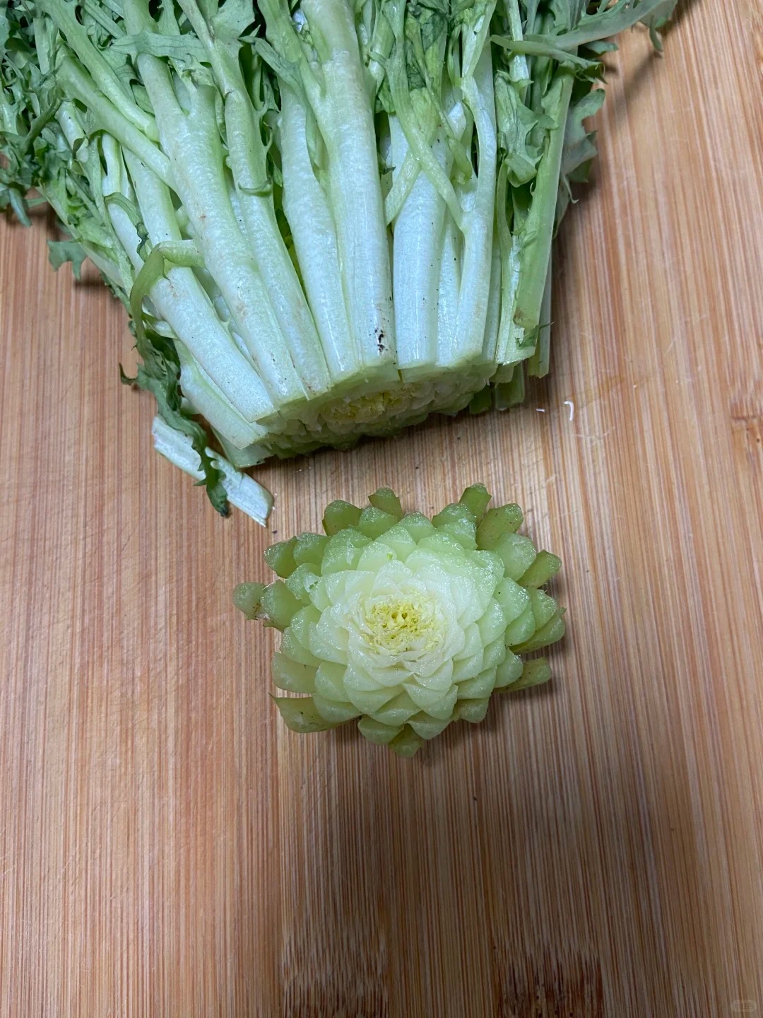 这是什么山茶花
开遍香奈儿山茶花的季节😼