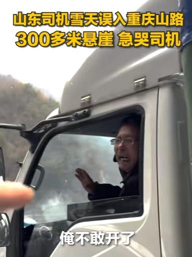 在重庆的一个雪天，货车司机王大叔（化名）在送完货后误上了崎岖的山路。他发现自己被