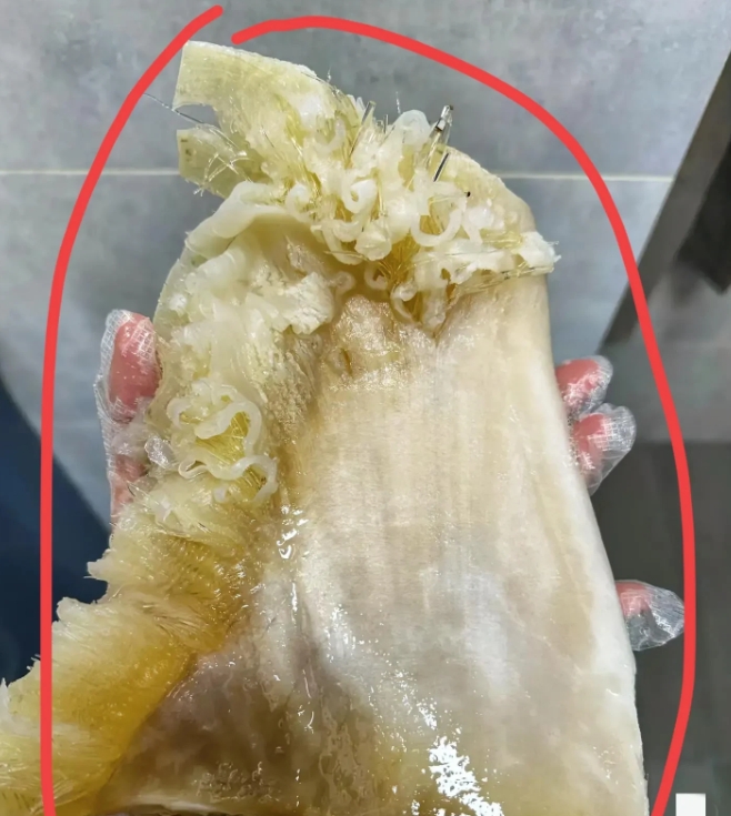 谁懂啊！爸妈要去街上叫我回家饭莱做好，下班一进家门，就看见厨房盆里泡着这个。皱巴