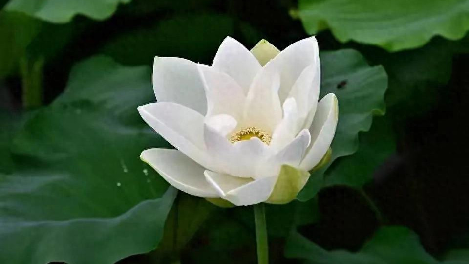 因带孙子和儿媳起争执，被她撵：你儿子已把全款婚前房加了我名，这是我家