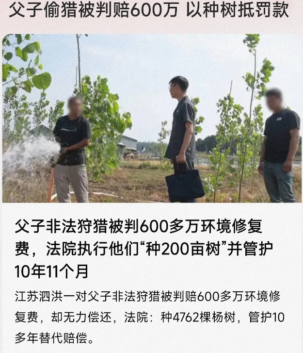 江苏泗洪，一对农民父子，经常到洪泽湖边狩猎夜鹭、黑水鸡等动物，收获很不错，后来买