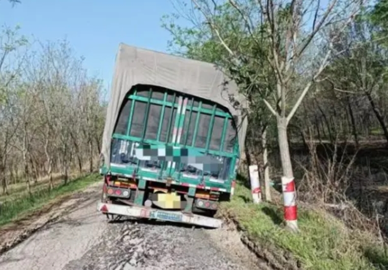 就差明抢了！2024年，山东滨州，一女子开大货车压塌农村道路，被要求赔偿159万