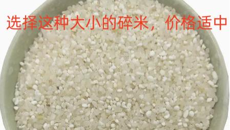 经济实惠的鲫鱼酒米该如何泡制（大米篇）（二）