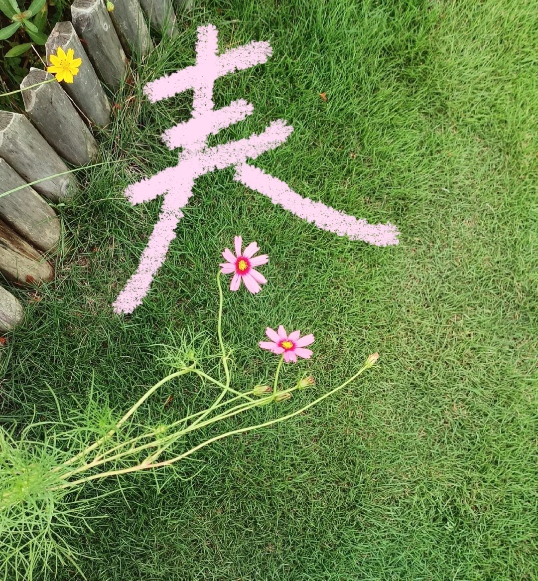 照片涂鸦
我们才不是无聊的大人