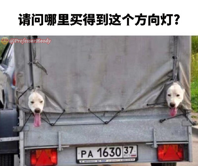看着结果蛮好的啊