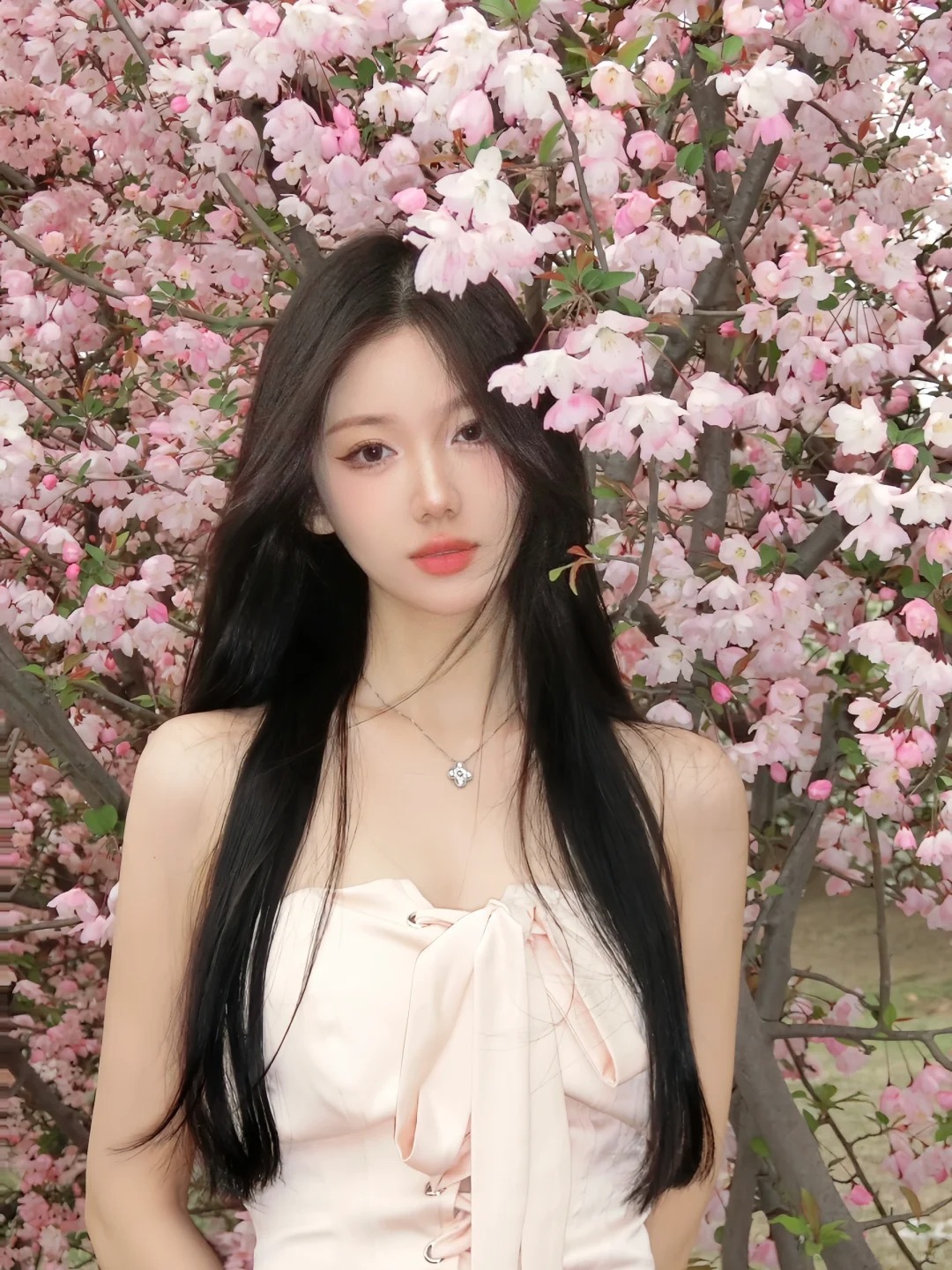 偏我来时不遇春