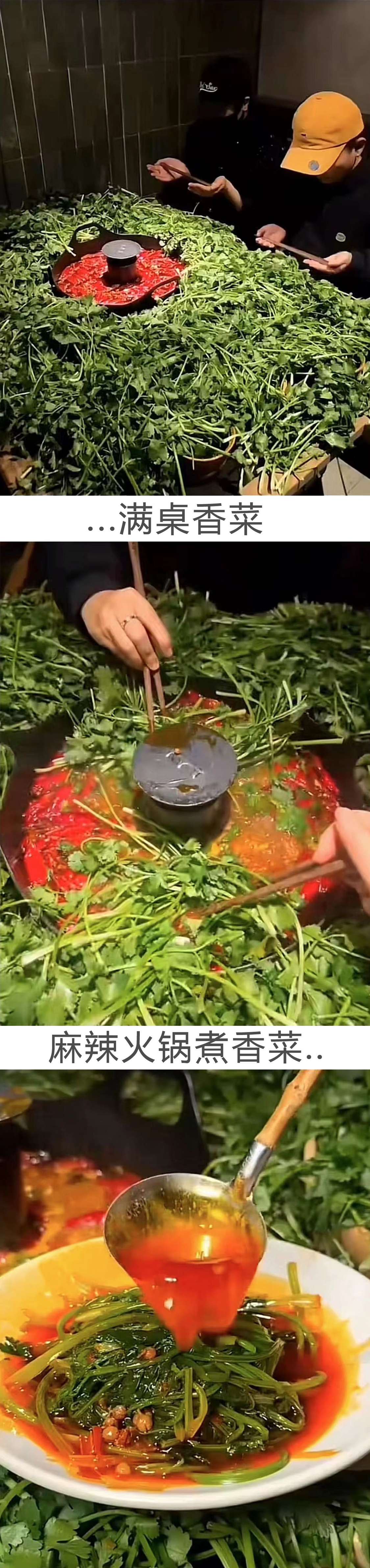 满桌子的绿草？