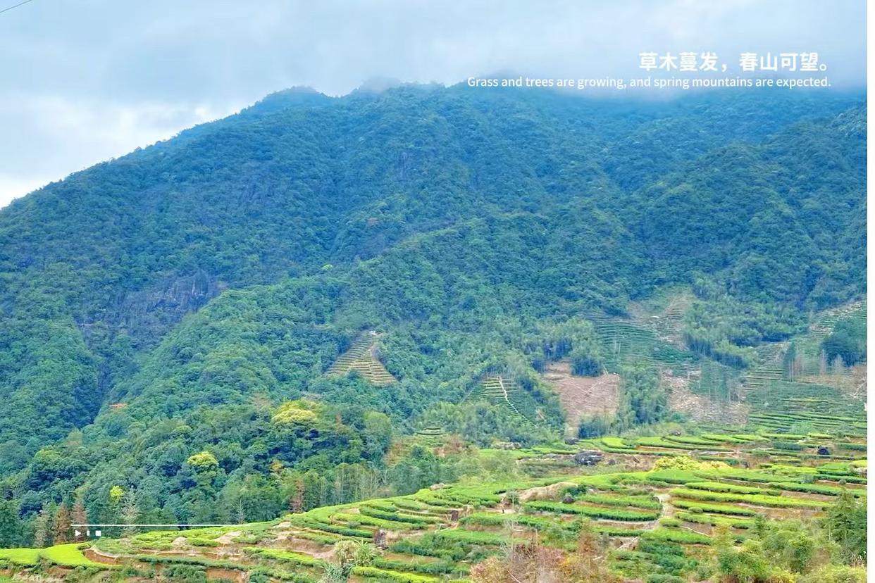 发现没，
父母最不爱的那个孩子，
其实是最孝顺的！
因为他一直想得到父母的认可，