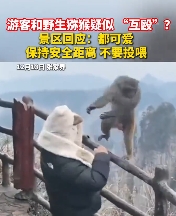 湖南张家界，因被猴子抢包，一游客和猴子大打出手。景区工作人员了解到，野生猕猴以为