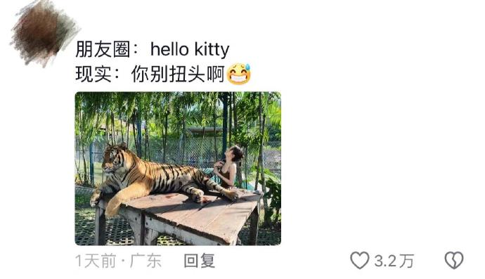 毛坯的人生，精装的朋友圈