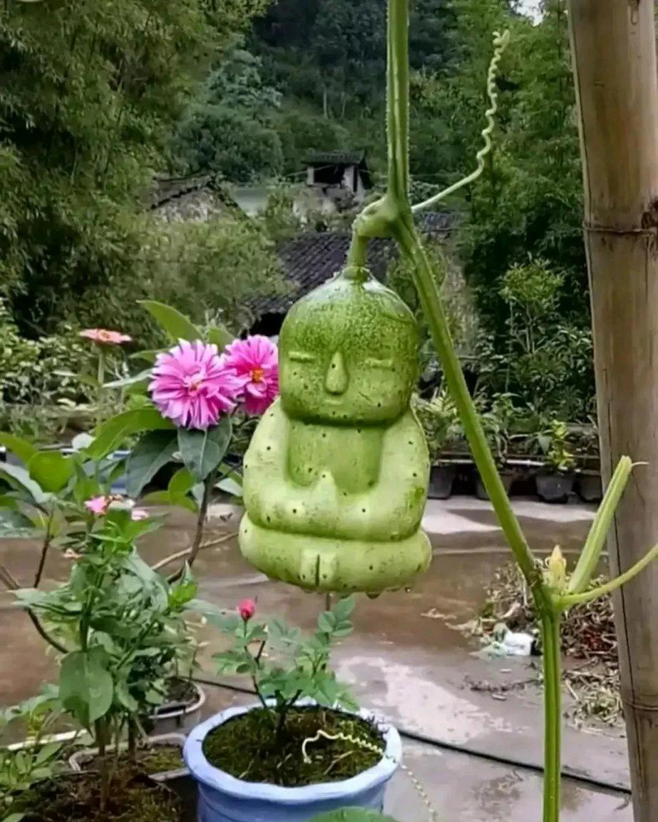为什么渣女找不到真爱：
因为渣女的要求只是骗子的大饼里有，而不存在于现实生活中。