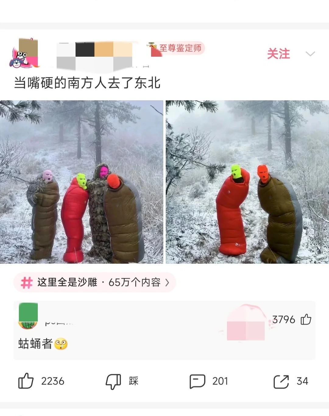 孤（蛄）勇（蛹）者？
