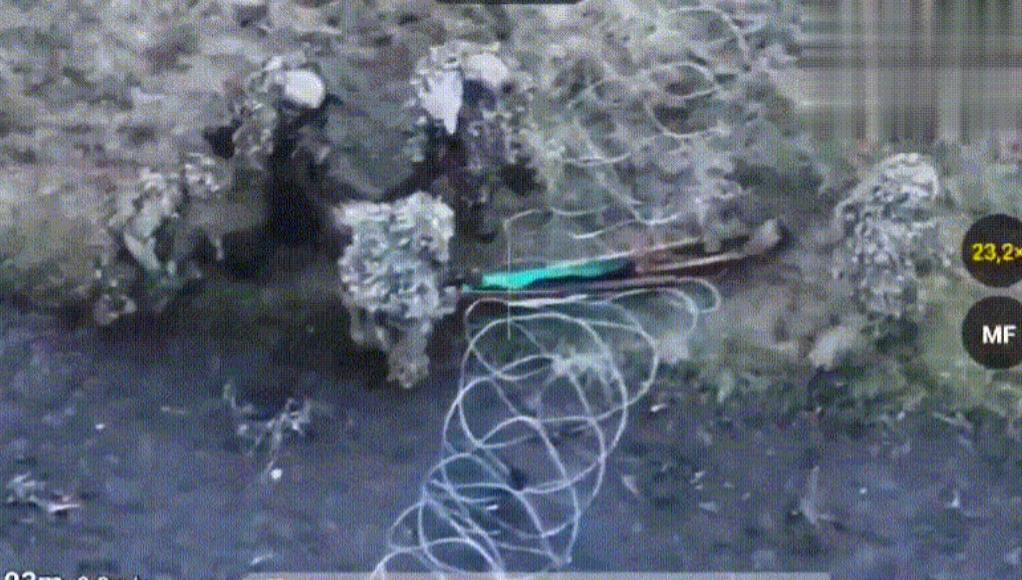 朝鲜大兵被乌军活捉，像牲口一样被乌军拖行，要倒大霉了

泽连斯基在的周六例行讲话